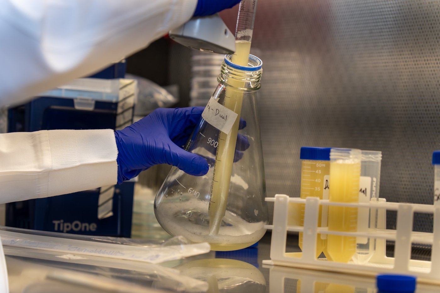 Early lab work at Soilcea.