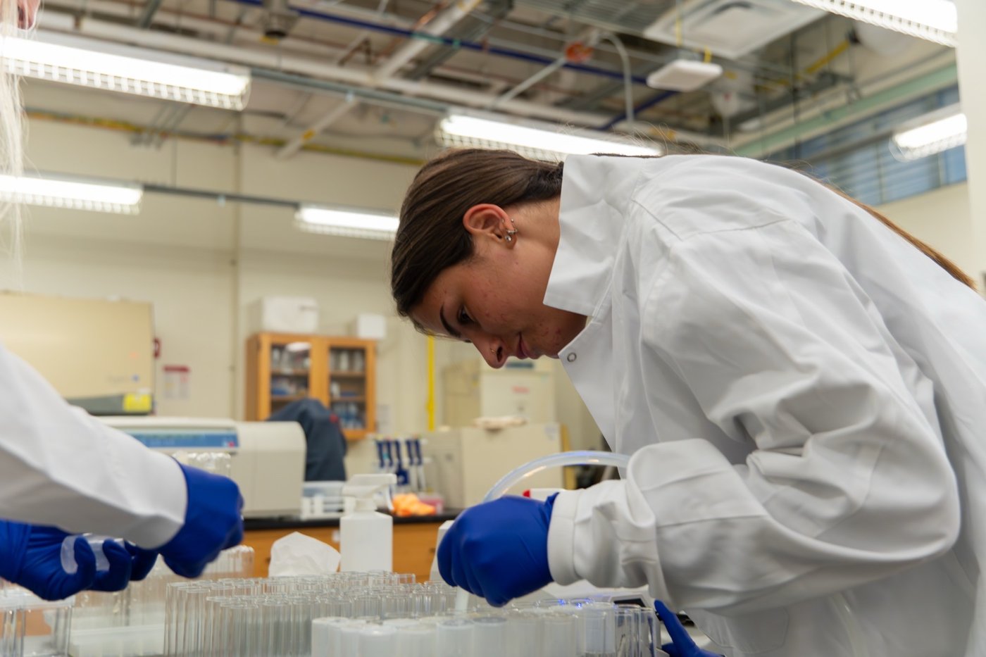 Lab work advancing the CRISPR program.