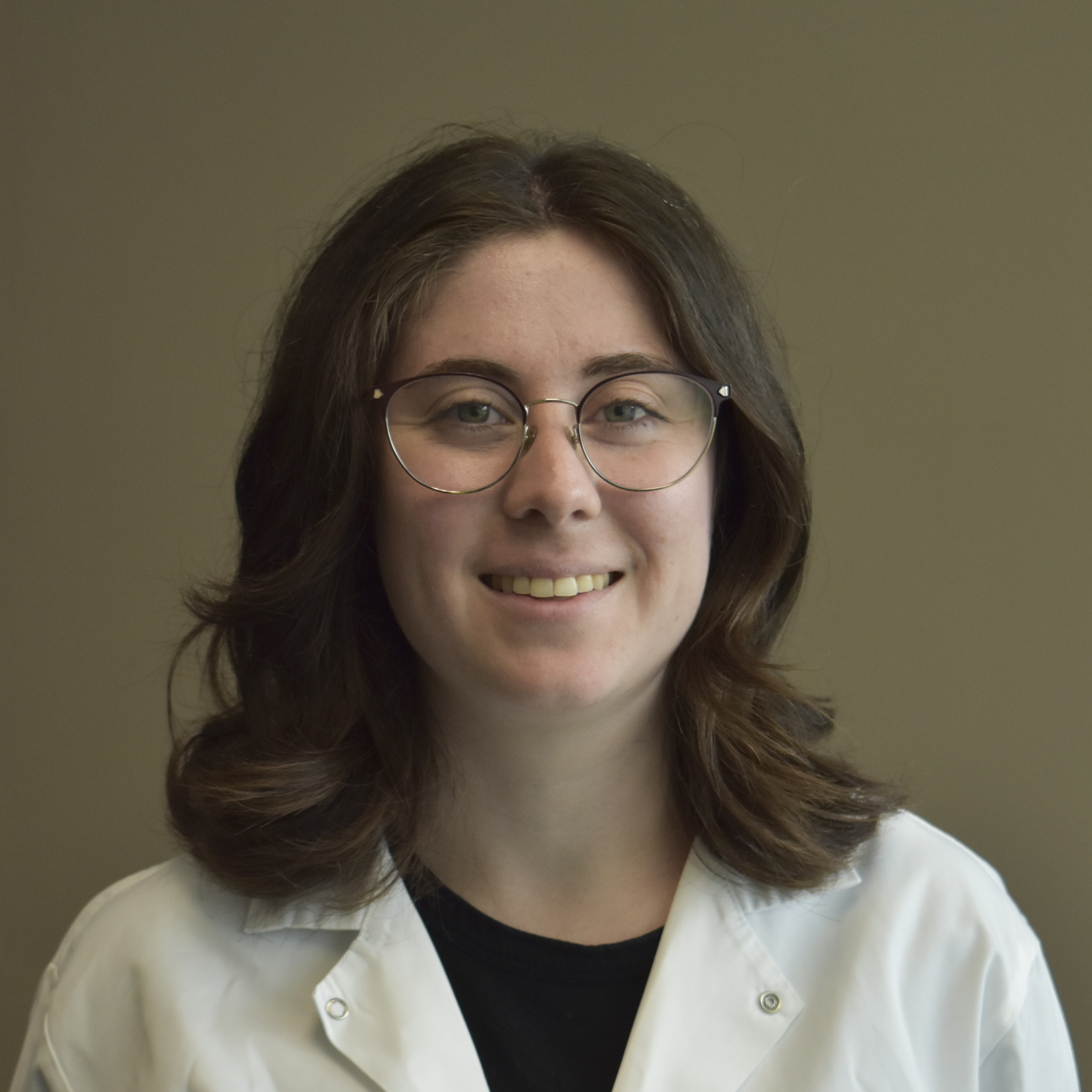 Soilcea logo favicon